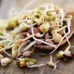 seeds