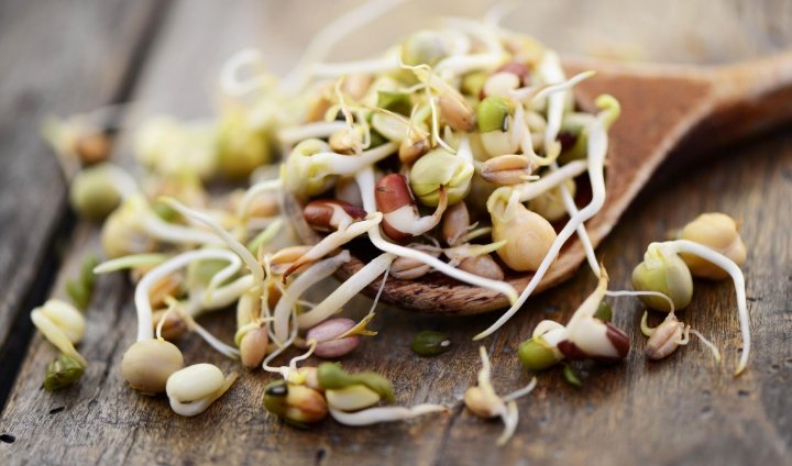 seeds